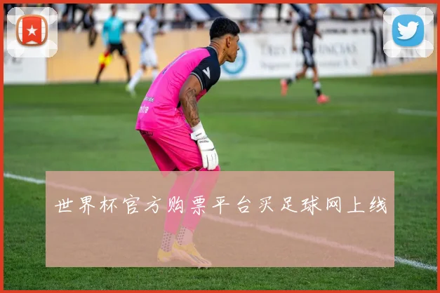 世界杯官方购票平台买足球网上线
