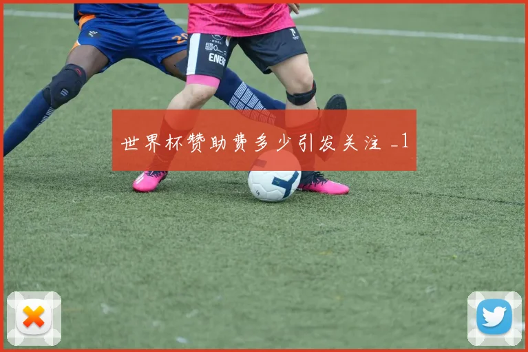 世界杯赞助费多少引发关注 _1