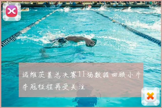 诺维茨基总决赛11场数据回顾小牛夺冠征程再受关注