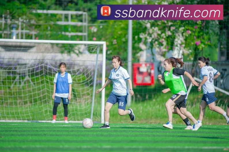 在线买世界杯平台APP 高清赛事图